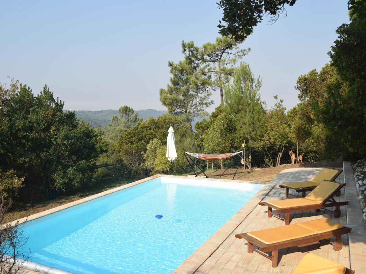 A Perfect Villa With Pool Terrace And Garden Alcobaça Exterior foto