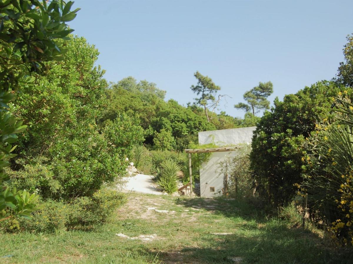A Perfect Villa With Pool Terrace And Garden Alcobaça Exterior foto